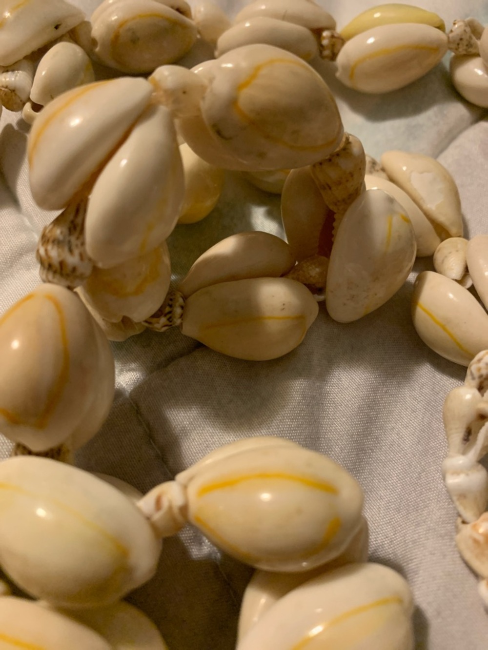 Shell Bead Necklace - Picture 5 of 7